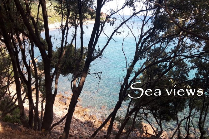 Discovering the Land of the Centenaries and Swimming in the Natural Pools - Traveling to Tortolì-Arbatax