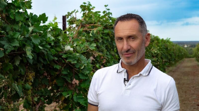 Discovering the mystery grape varieties - Good To Know