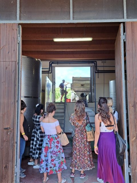 Discovering the mystery grape varieties - Introduction to the Experience