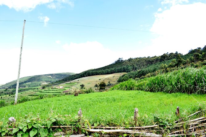 Discovering the Wonders of Burundi: a 7-Day Tour Itinerary - Day 3: Discovering Lake Tanganyika