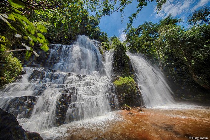 Discovering the Wonders of Burundi: a 7-Day Tour Itinerary - Day 4: Wildlife Safari in Kibira National Park