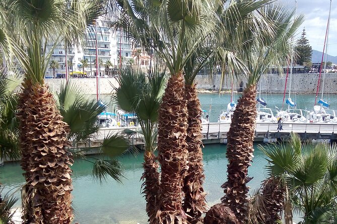 Discovering & Uncovering Piraeus: Hidden Gems and Local Secrets - Sampling Authentic Greek Cuisine