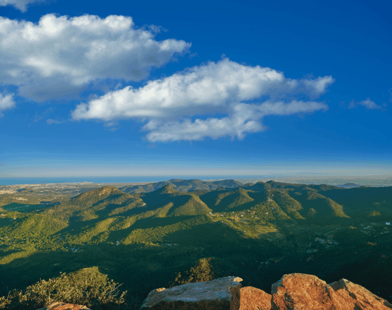 Discovering Valencia: Horchata, Paella & Vistas-Private Tour - Good To Know