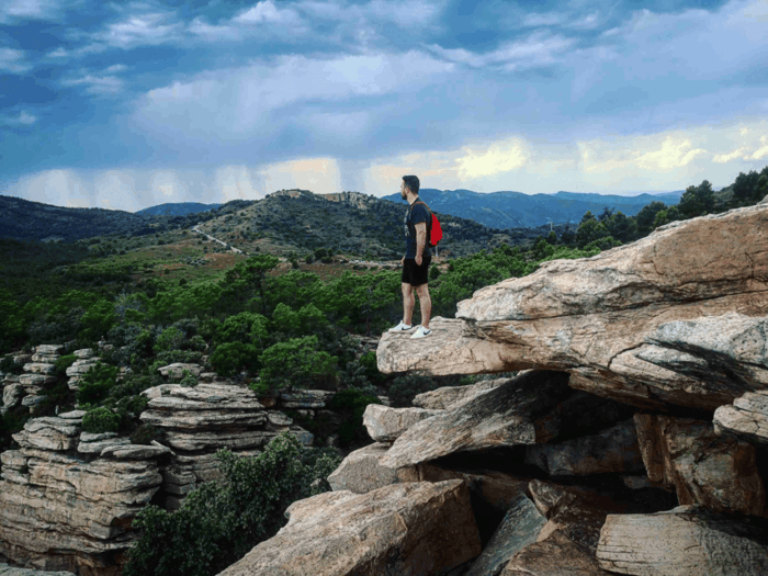 Discovering Valencia: Horchata, Paella & Vistas-Private Tour - Considerations for Tour Participants