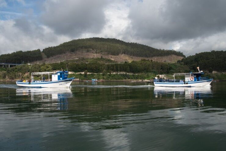 Discovering Vigo Ria and Mussels in the Traditional Boat - Activity Details