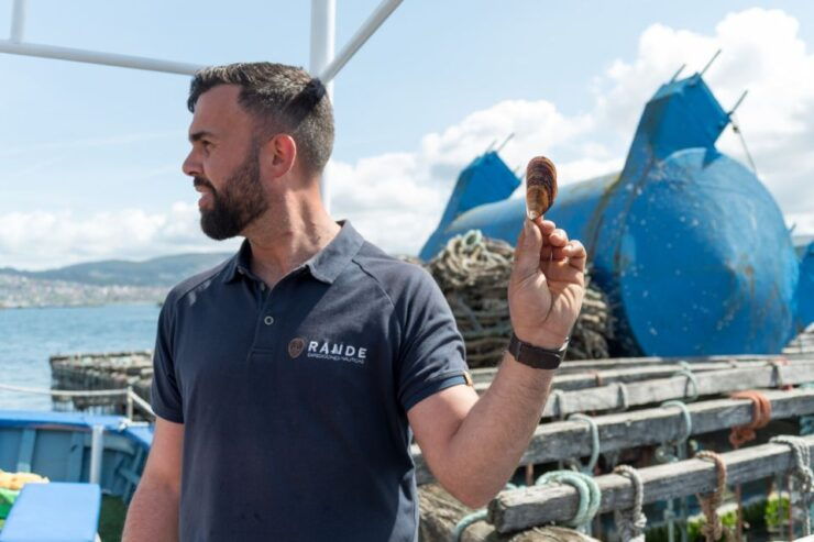 Discovering Vigo Ria and Mussels in the Traditional Boat - Experience Highlights