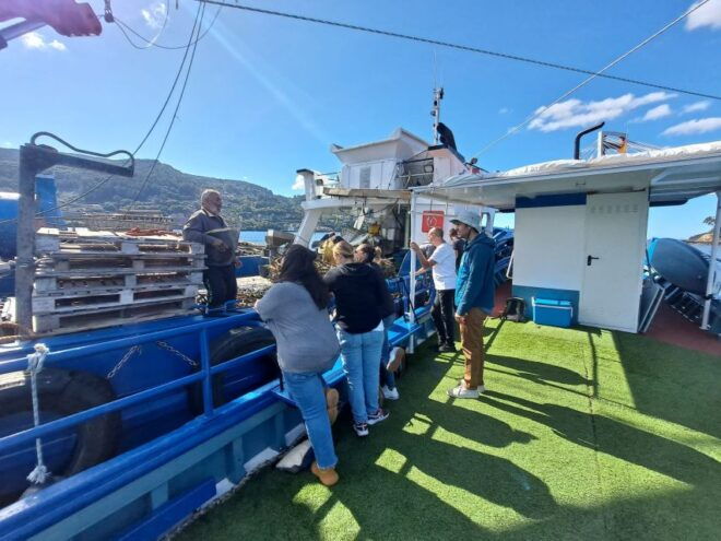 Discovering Vigo Ria and Mussels in the Traditional Boat - Booking Information