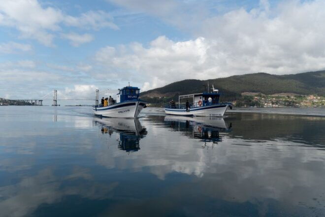 Discovering Vigo Ria and Mussels in the Traditional Boat - Important Information