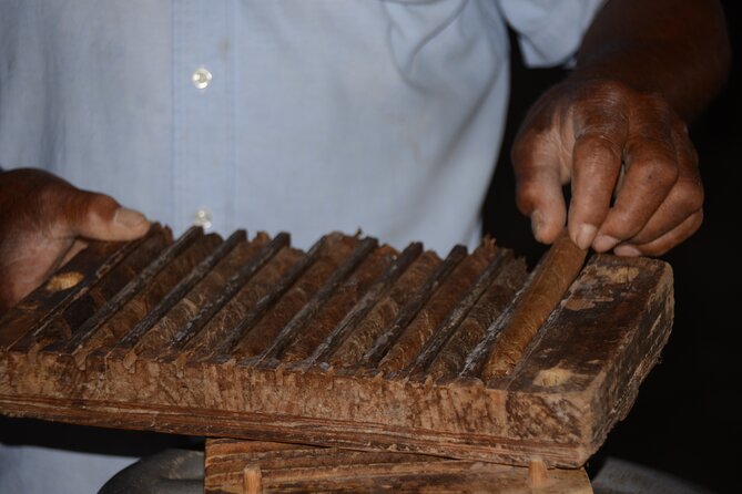 Discovery and Adventure of the Local Dominican Life in Small Group - Immerse Yourself in Local Traditions