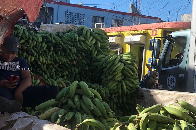 Discovery and Adventure of the Local Dominican Life in Small Group - Discover Hidden Gems of the Dominican Republic