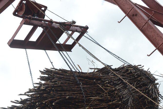 Discovery and Adventure of the Local Dominican Life in Small Group - Set out on a Memorable Small Group Adventure