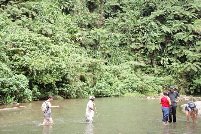 Discovery Bush Walk from Port Vila - An In-Depth Look at the Discovery Bush Walk