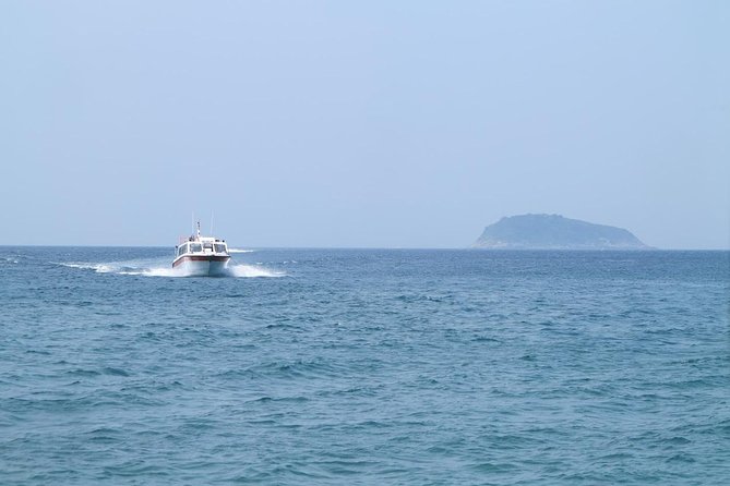 Discovery Cham Island - Hoi An Half Day Private Tour. - Cancellation Policy