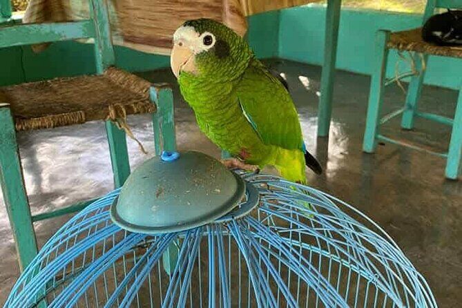 Discovery DE the real Dominican Republic EN small committee. - Rum Tasting in Punta Cana