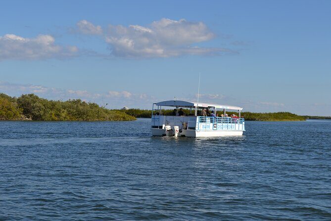Discovery Dolphin Boat Tour - Who Will Love This Tour?  