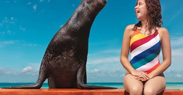 DISCOVERY ESPECIES (SEA LIONS & MANATEES) - Dolphins and Interactions