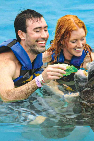 DISCOVERY ESPECIES (SEA LIONS & MANATEES) - Isla Mujeres Exploration