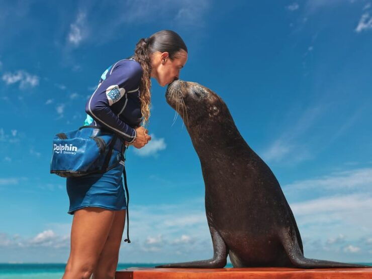 DISCOVERY ESPECIES (SEA LIONS & MANATEES) - Booking Information
