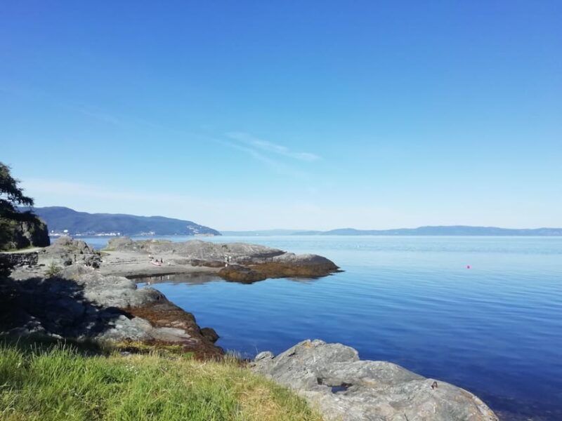 Discovery hike along the Trondheimsfjord - Discovery hike along the Trondheimsfjord: An Authentic Norwegian Experience