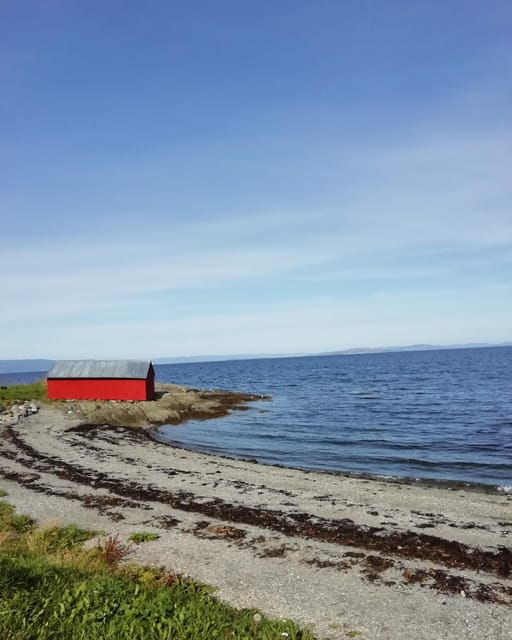 Discovery hike along the Trondheimsfjord - An In-Depth Look at the Discovery Hike