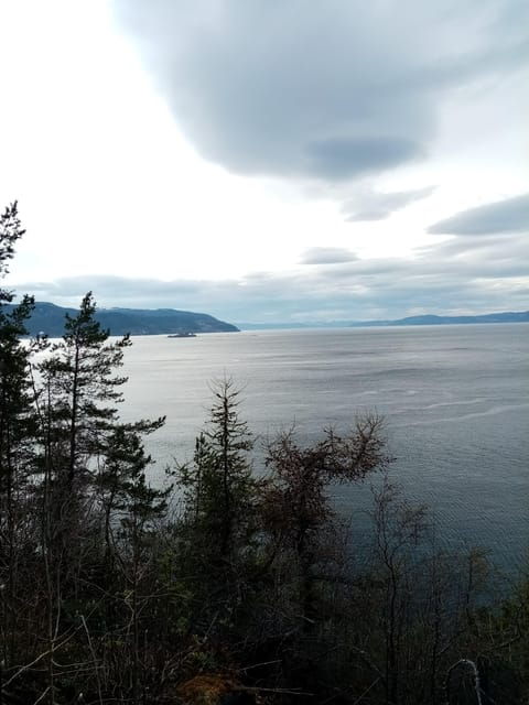 Discovery hike along the Trondheimsfjord - Who Should Consider This Tour?
