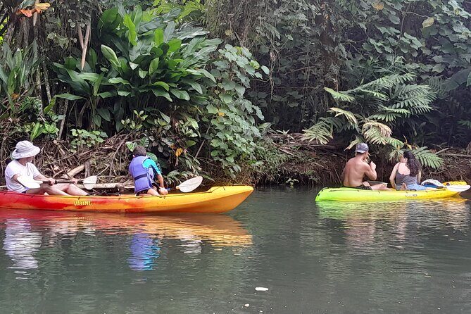 Discovery in Kayaking of the Faaroa River in Raiatea - Exploring the Faaroa River Kayaking Tour in Raiatea: An Honest Review