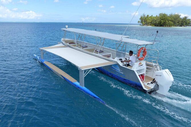 Discovery in Kayaking of the Faaroa River in Raiatea - Authenticity and Value