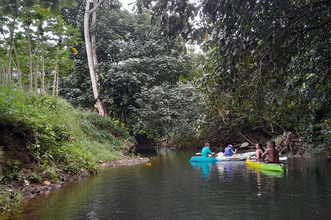 Discovery in Kayaking of the Faaroa River in Raiatea - Who Should Consider This Tour?