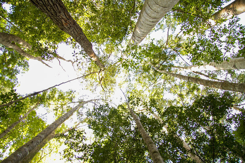 Discovery Kgari (Fraser Island) Full-Day Tour - Practical details before you book