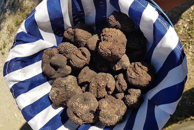Discovery "Les Orgues and Truffles" - The Truffle Market: A Gourmet Shopping Experience