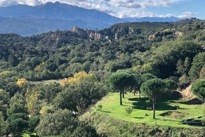 Discovery "Les Orgues and Truffles" - The Sum Up