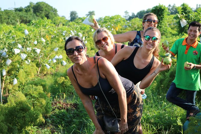 Discovery Mekong Delta and Rural Villages 5 Hours - Reviews and Ratings