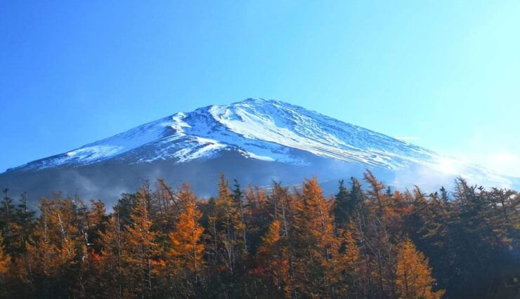 Discovery More Private Trip to Mt. Fuji With English Driver - Itinerary Highlights