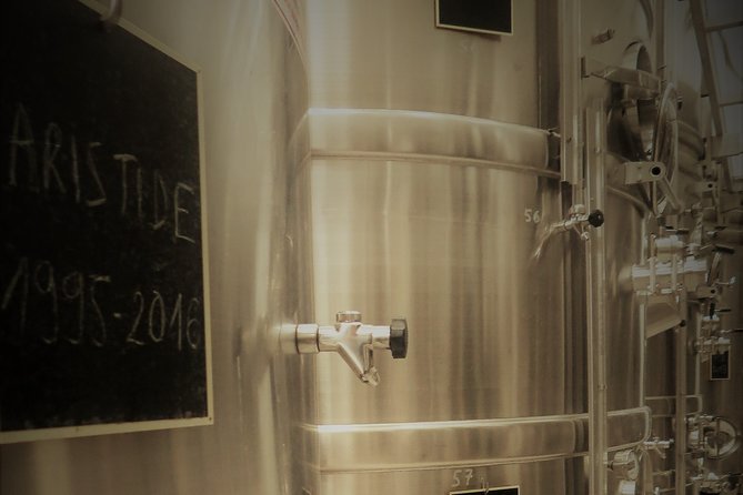 Discovery of a Champagne From Vintner, From the Cellar to the Tasting - Overview and Logistics