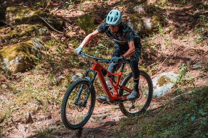 Discovery of a Secret Mountain Pasture by Electric Mountain Bike in Chamonix - Booking Information and Availability