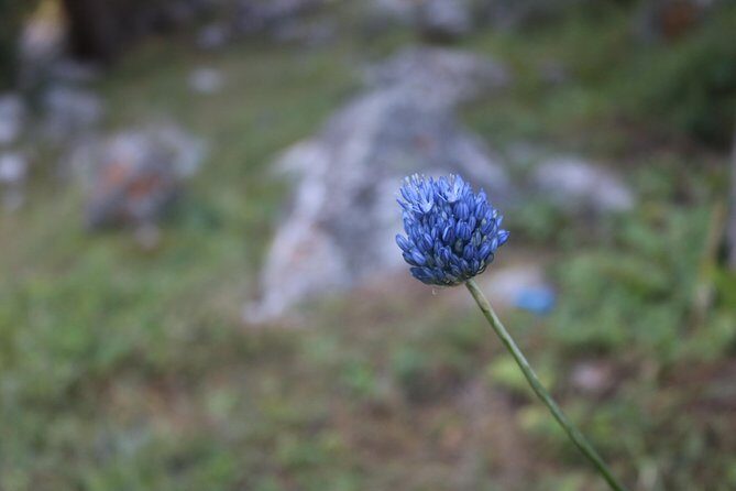 Discovery of Natural Beauty: Trekking Around Bishkek - Who is This Tour Best For?
