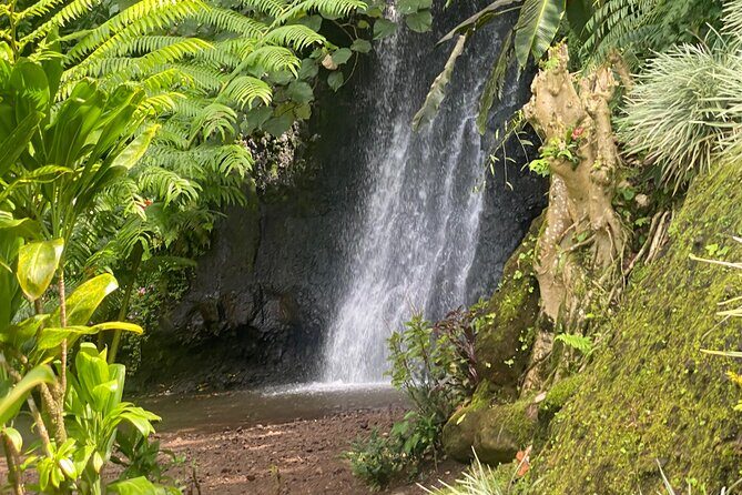 Discovery of Tahiti Nui Island - Good To Know