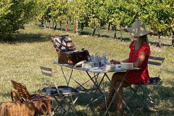 Discovery of the Cognac Vineyard in a 2CV With Picnic in the Middle of the Vines - Picnic in the Vineyard