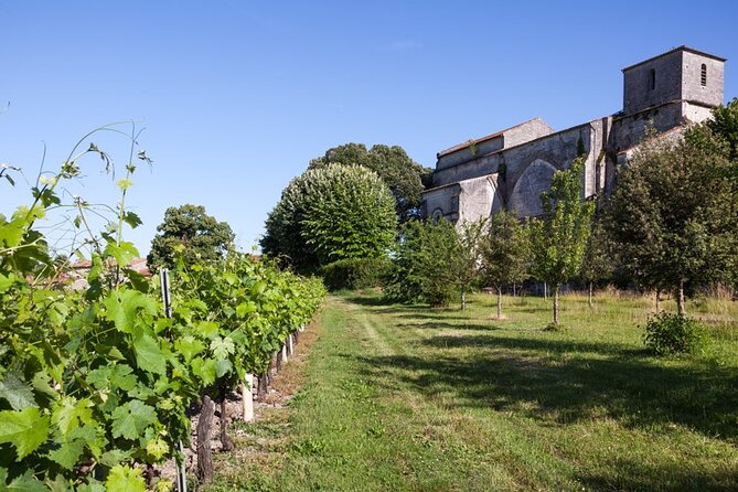 Discovery of the Cognac Vineyard in a 2CV With Picnic in the Middle of the Vines - Common Questions