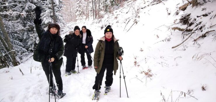 Discovery of the Snowy Vercors in Snowshoes - Snowy Vercors: A Winter Wonderland