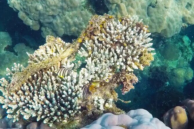 Discovery Phu quoc Trip with 2 Island by Boat - Good To Know