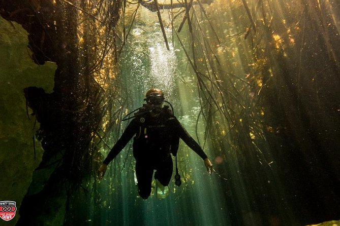 Discovery Scuba Diving - Pricing and Value