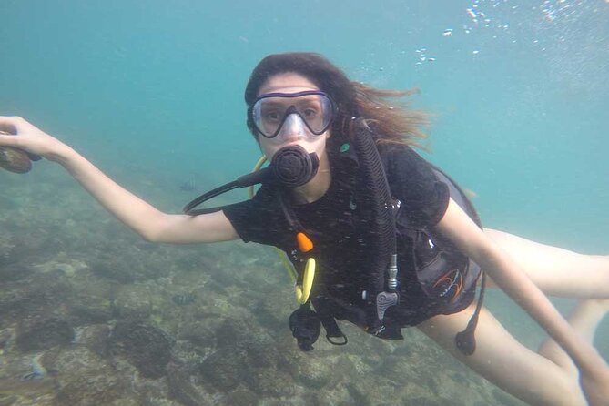 Discovery Scuba Diving in Dubai - Cancellation Policy