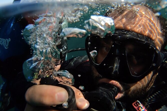 Discovery Scuba Diving in Dubai - The Sum Up