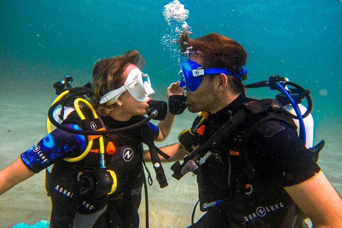 Discovery Scuba Diving in Dubai - Wildlife Spotting Opportunities