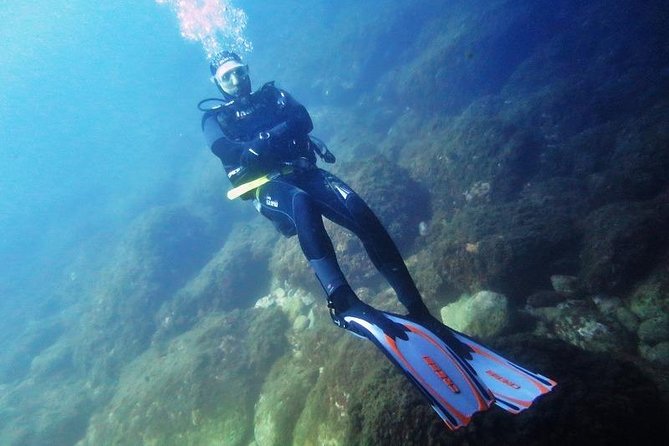 Discovery Scuba Diving Taormina & Isola Bella - Activity Details