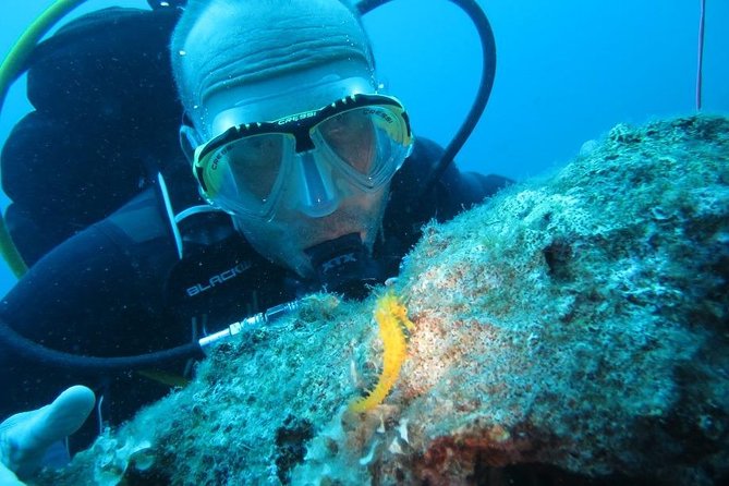 Discovery Scuba Diving Taormina & Isola Bella - Meeting and Pickup