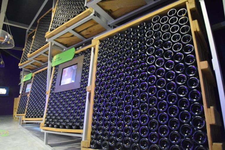 Discovery Tour - The Magic of Bubbles