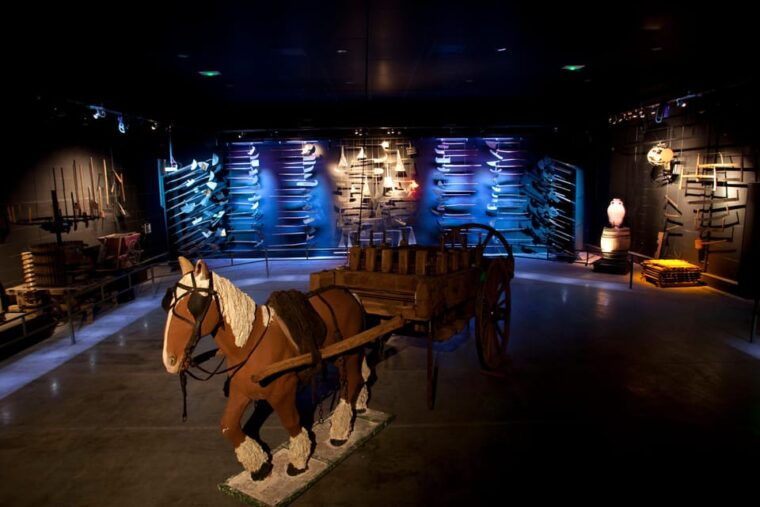 Discovery Tour - Inclusions