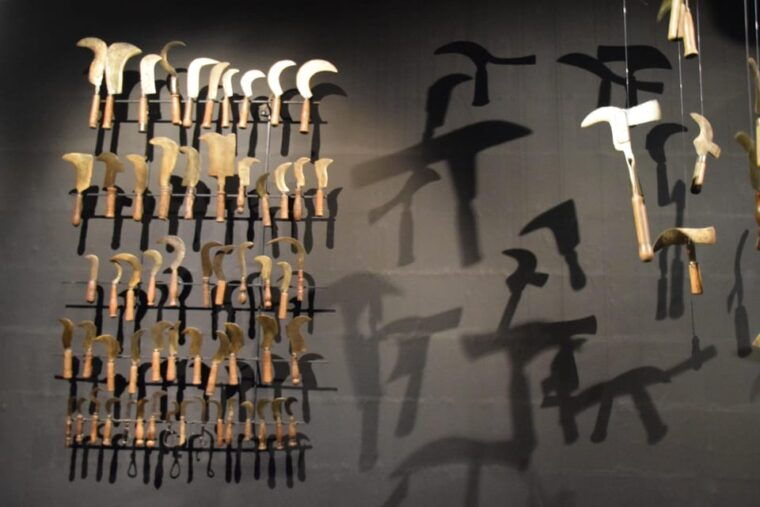 Discovery Tour - Frequently Asked Questions